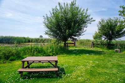 Wandelen