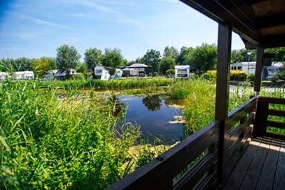 Waterhut IJsvogel